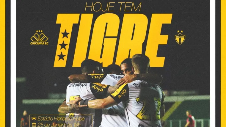 Criciúma x Brusque AO VIVO: assistir jogo com imagens de graça (25/01) image