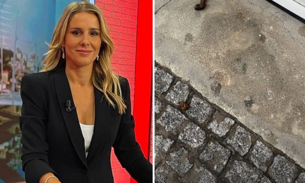 Diana Bouça-Nova laments the lack of civility on the streets: “It is unacceptable…”