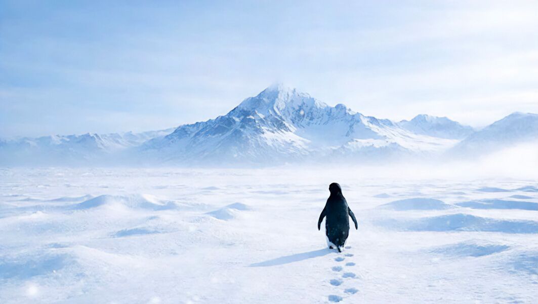 Some penguins commit suicide, walking away from the sea, alone, towards their doom