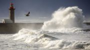 Ingrid closes schools, lowers electricity prices and can build the 30-meter “myth” in Nazaré today