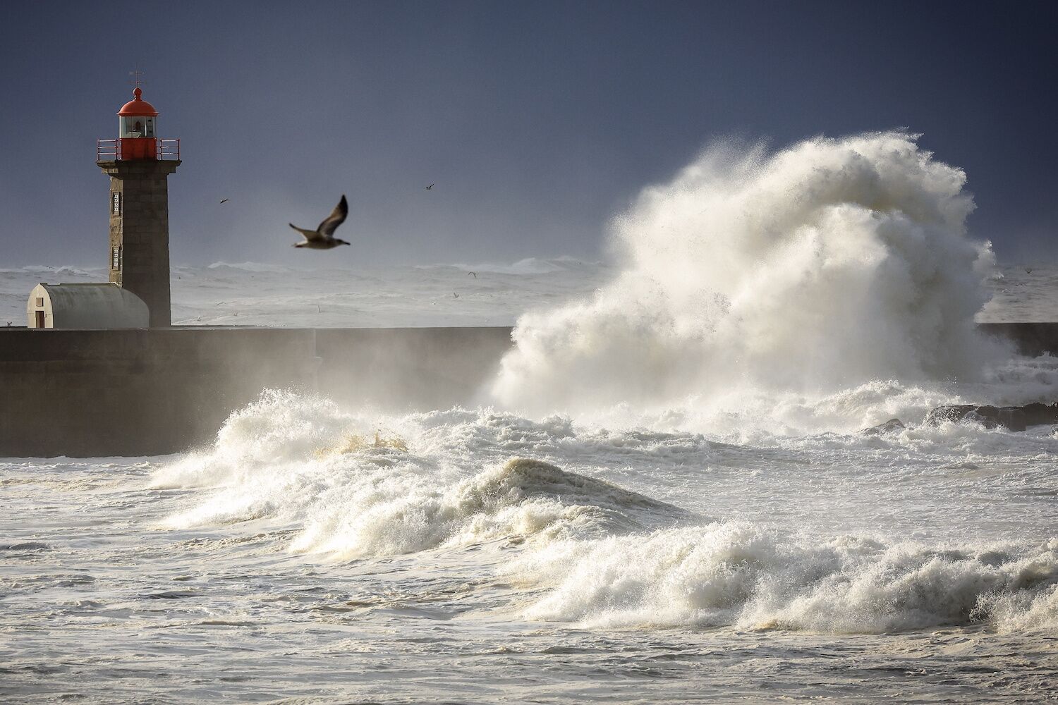 Ingrid closes schools, lowers electricity prices and can build the 30-meter “myth” in Nazaré today