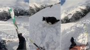 Skier and dog escape avalanche unharmed in Andorra