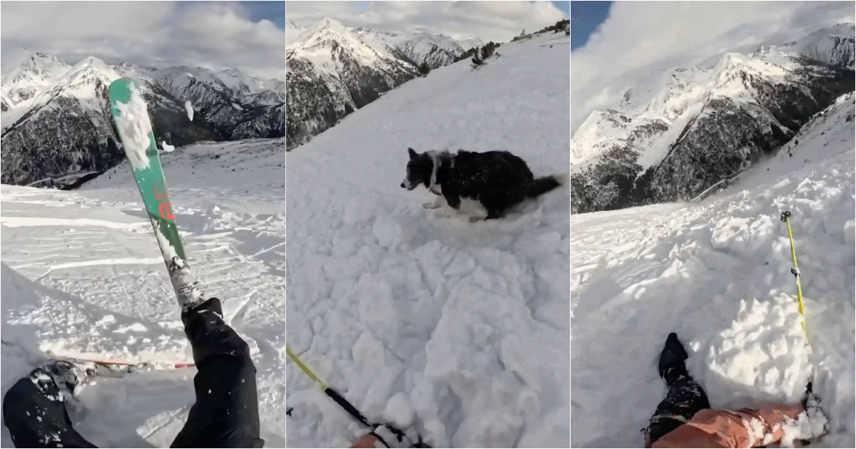 Skier and dog escape avalanche unharmed in Andorra