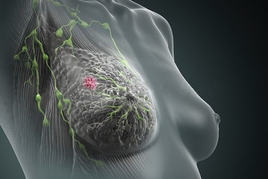 U. Coimbra develops innovative molecule for cancer treatment