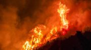 What is happening in Patagonia?: more than 4,000 hectares have already been devastated by flames