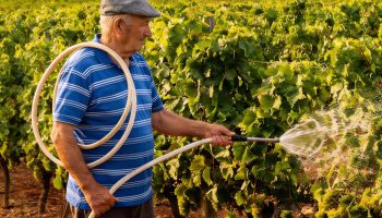 Farmer fined 7,500 euros for illegally extracting water for irrigation: court confirmed decision despite claiming that “water was always taken from the river”