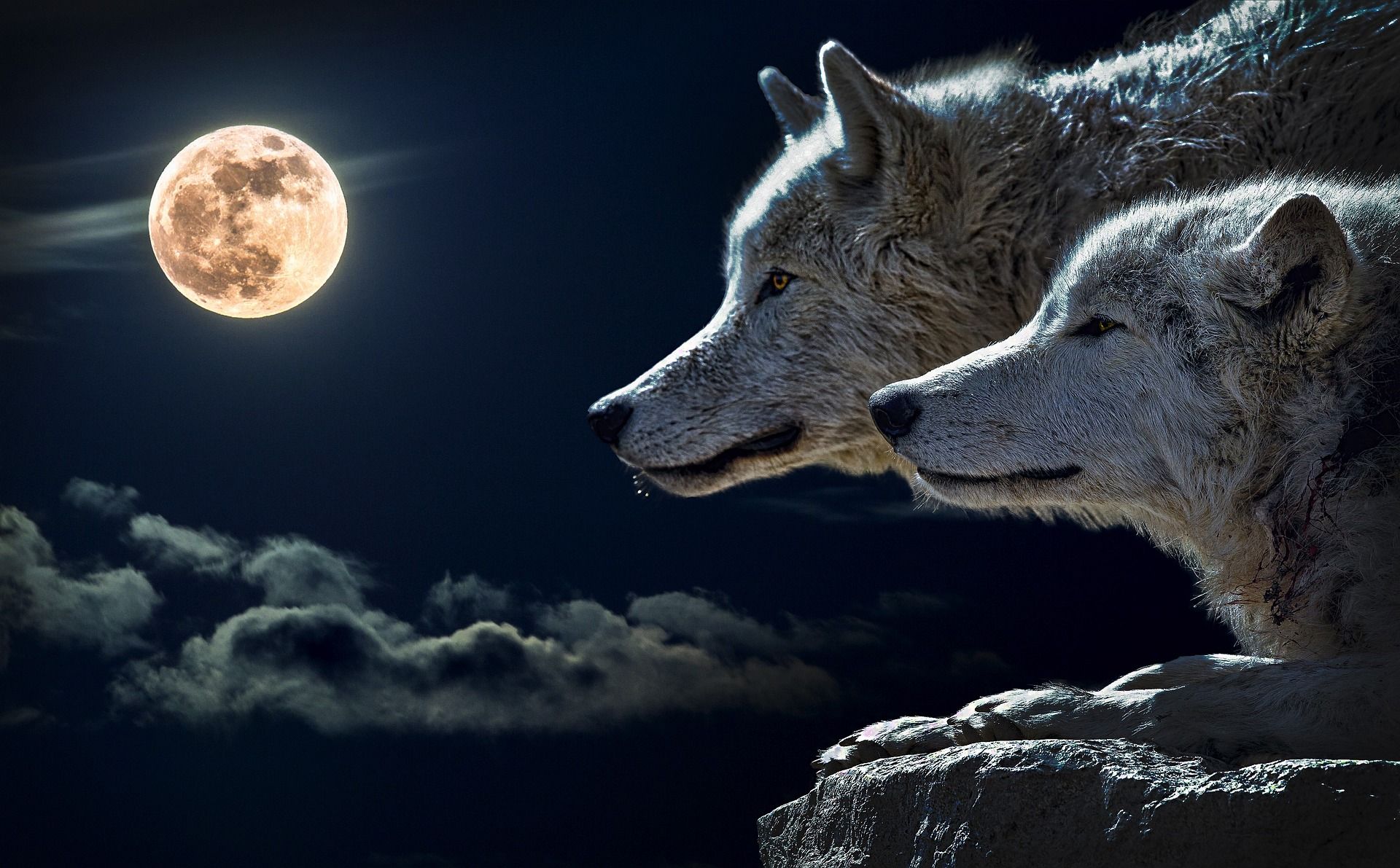 Astrology Full Moon in Cancer in January 2026. What will the Wolf Moon bring? This zodiac sign can count on luck