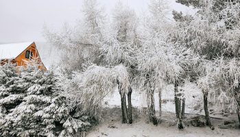 Weather forecasts The oldest highlanders do not remember such weather! There is a new forecast for February 1, 2026. This has not happened for 30 years! Is this the winter of the century?