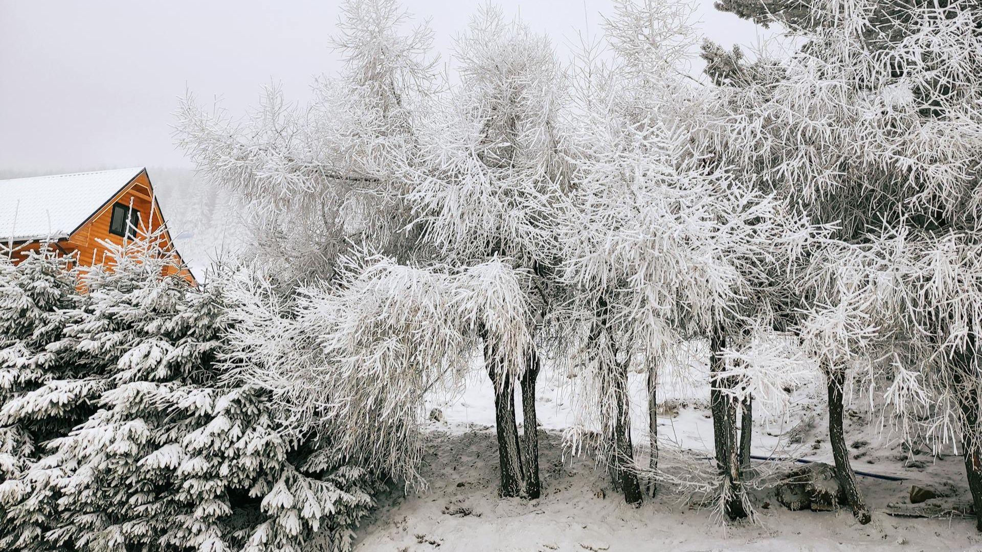 Weather forecasts The oldest highlanders do not remember such weather! There is a new forecast for February 1, 2026. This has not happened for 30 years! Is this the winter of the century?