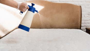 Washing the mattress Add 20 drops and sprinkle on the mattress once a month. It will be fragrant and fresh as new. A way to refresh your mattress