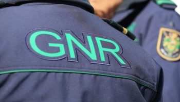 More than 100 exotic animals rescued in GNR operations