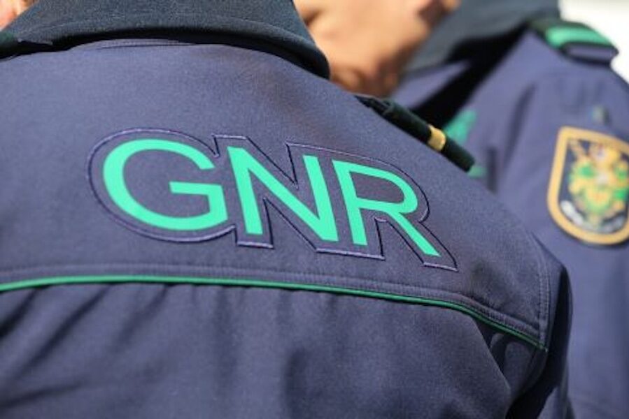 More than 100 exotic animals rescued in GNR operations