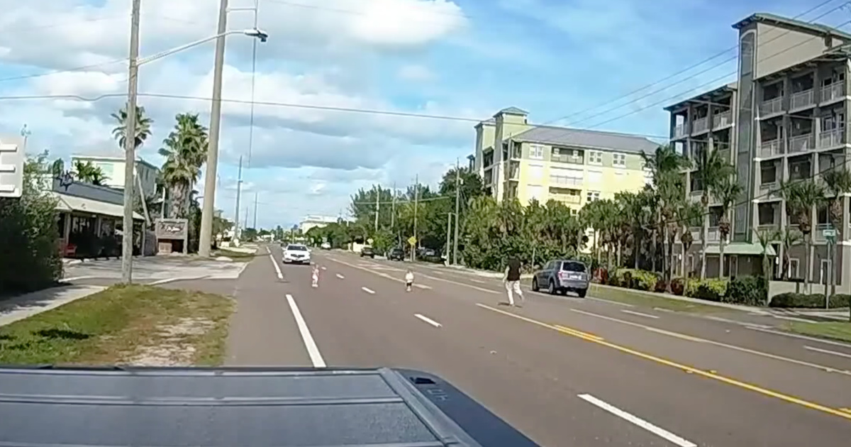 Man saves two alone children on busy Florida road