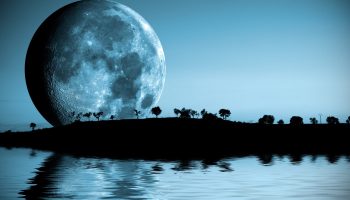 Horoscope for the month of FEBRUARY 2026. The season of Pisces, a solar eclipse and a retrograde is on!