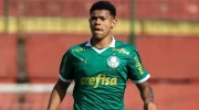 Quem é Luis Pacheco, titular do Palmeiras contra o Mirassol? image