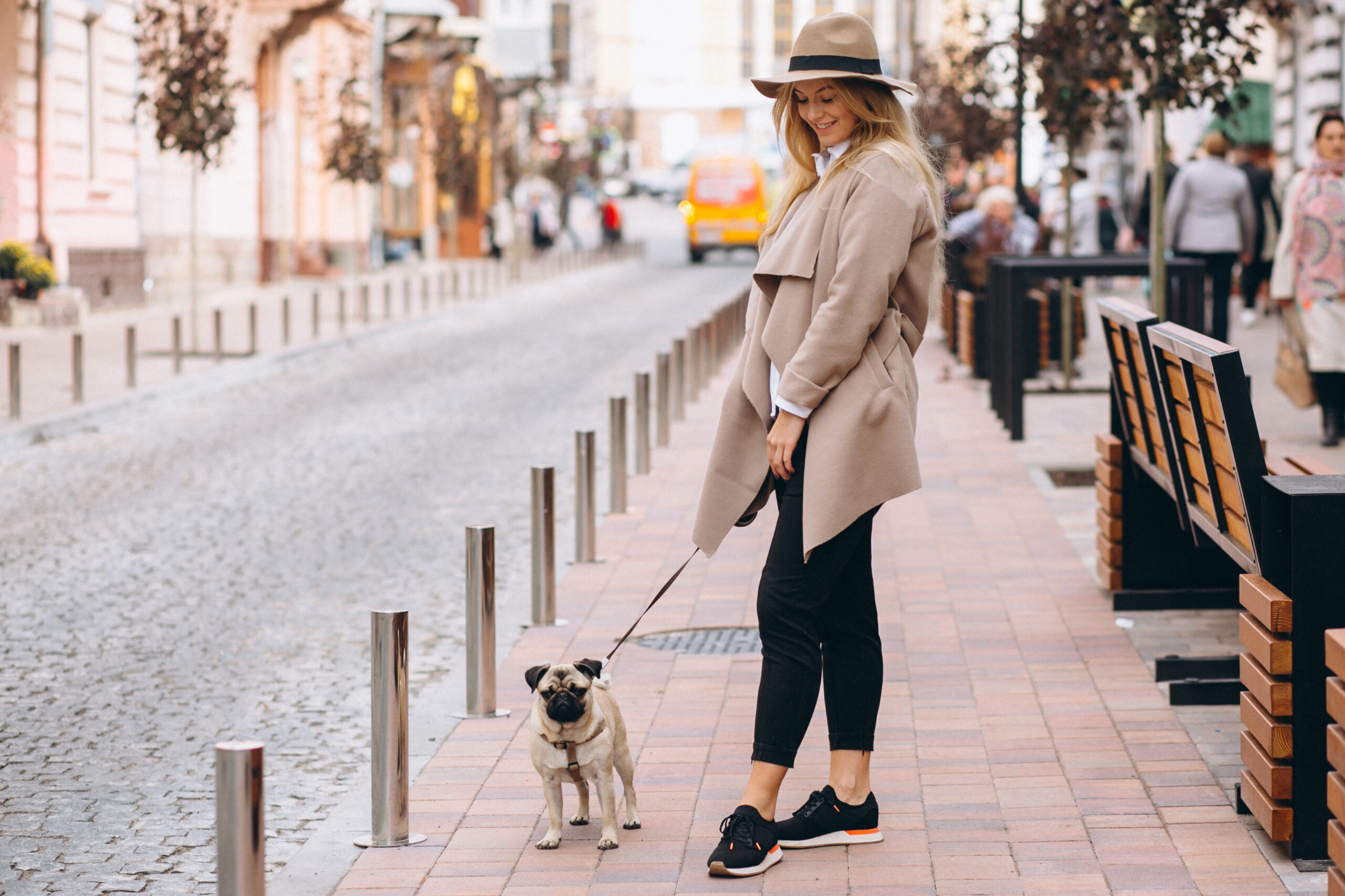 Coming soon to Portugal? Canine DNA is used to find owners in this Spanish city and fines reach €600