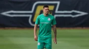 Quando Paulinho volta a jogar pelo Palmeiras? Entenda como está sua recuperação image