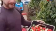 Producer discards around 500 kilos of strawberries after price drop: “does the L”
