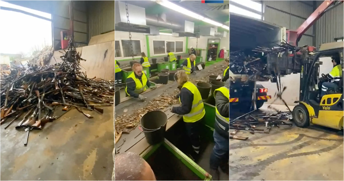 PSP destroys almost 7 thousand weapons in Maia on Non-Violence and Culture of Peace Day