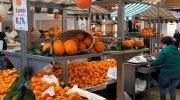 Algarve orange highlighted at Portimão Municipal Market