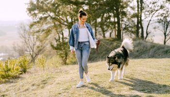 “Cãominhada Municipal” combines exercise and solidarity in Albufeira