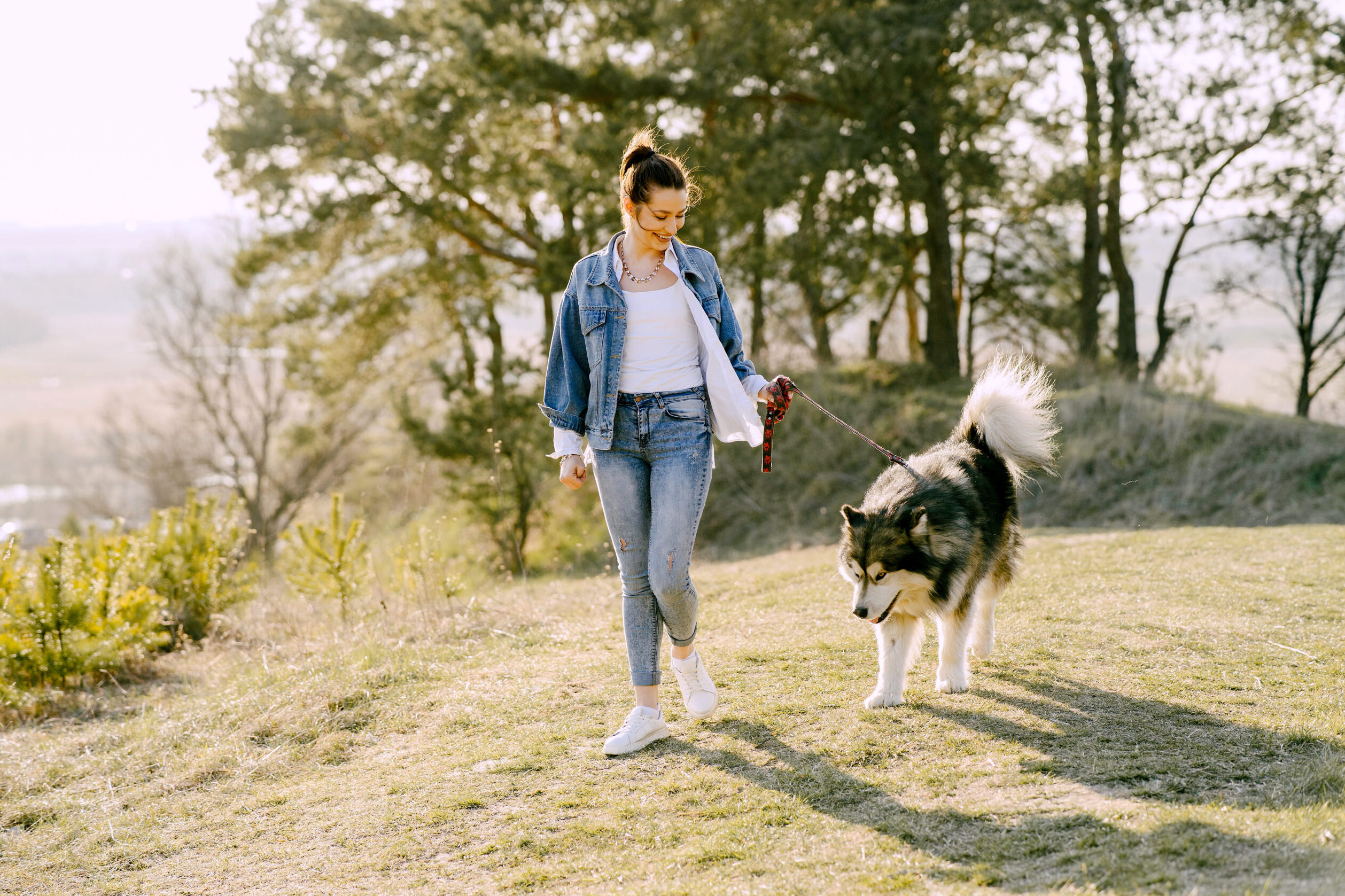 “Cãominhada Municipal” combines exercise and solidarity in Albufeira