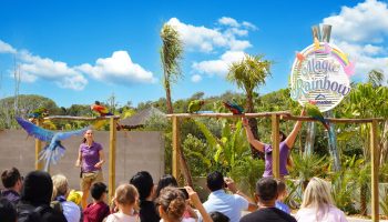 More than 15 million visited Iberian zoos in 2025 with a contribution from Zoomarine