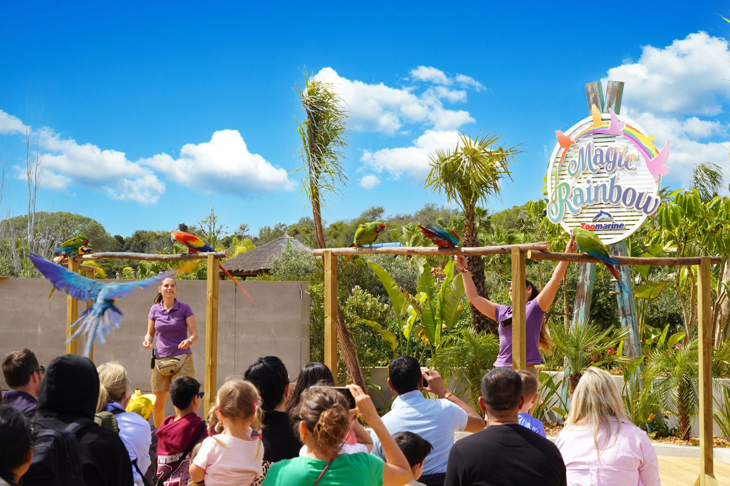 More than 15 million visited Iberian zoos in 2025 with a contribution from Zoomarine