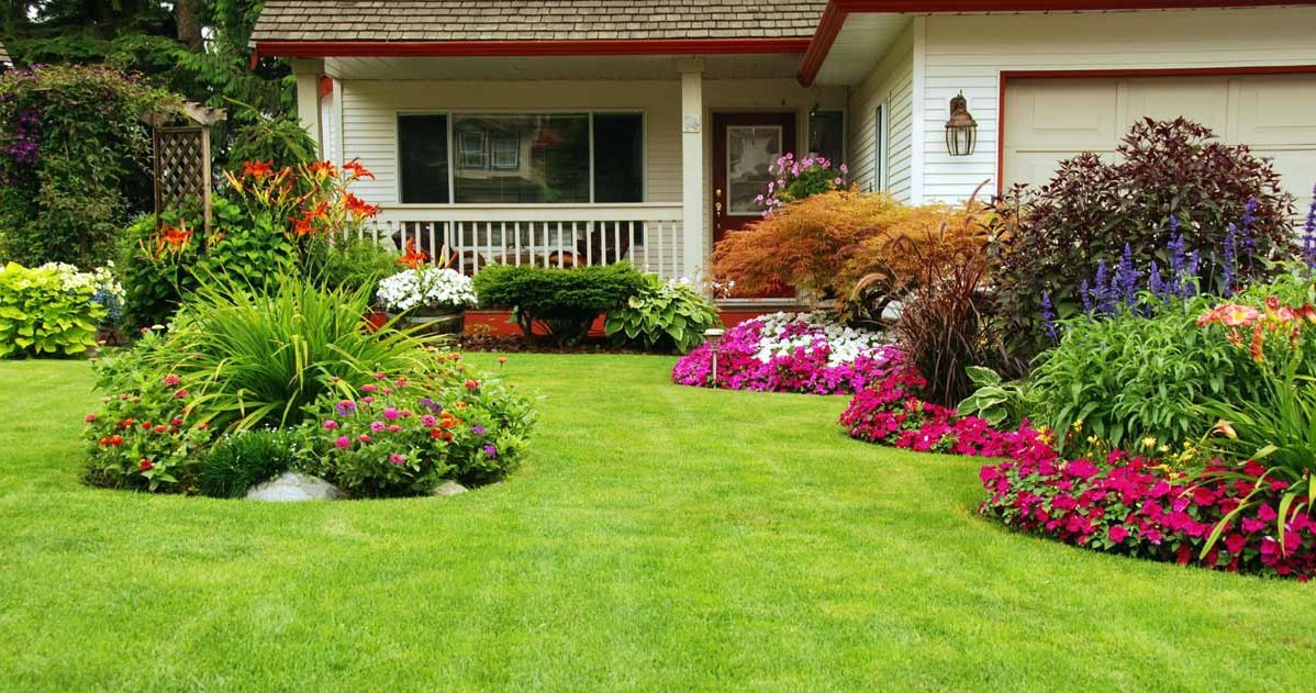 Take care of it now. Your lawn will look like in the picture