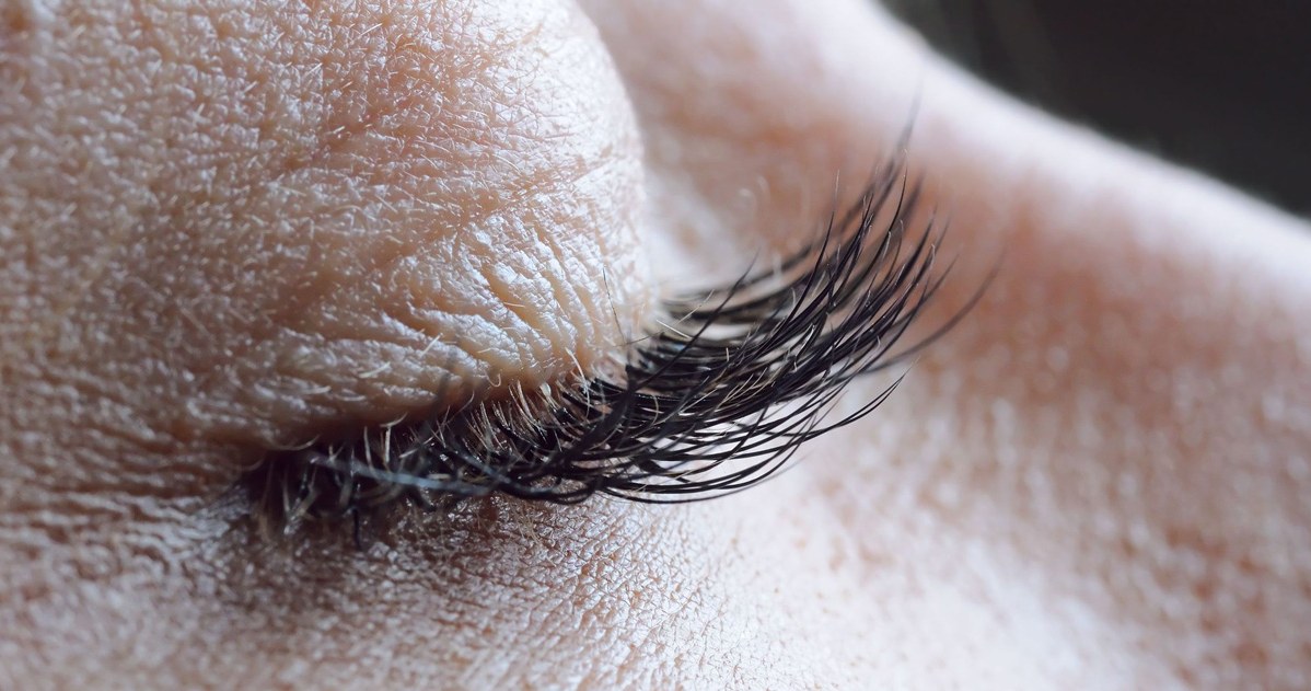 Apply this to your eyelashes. They will be thick and long like curtains