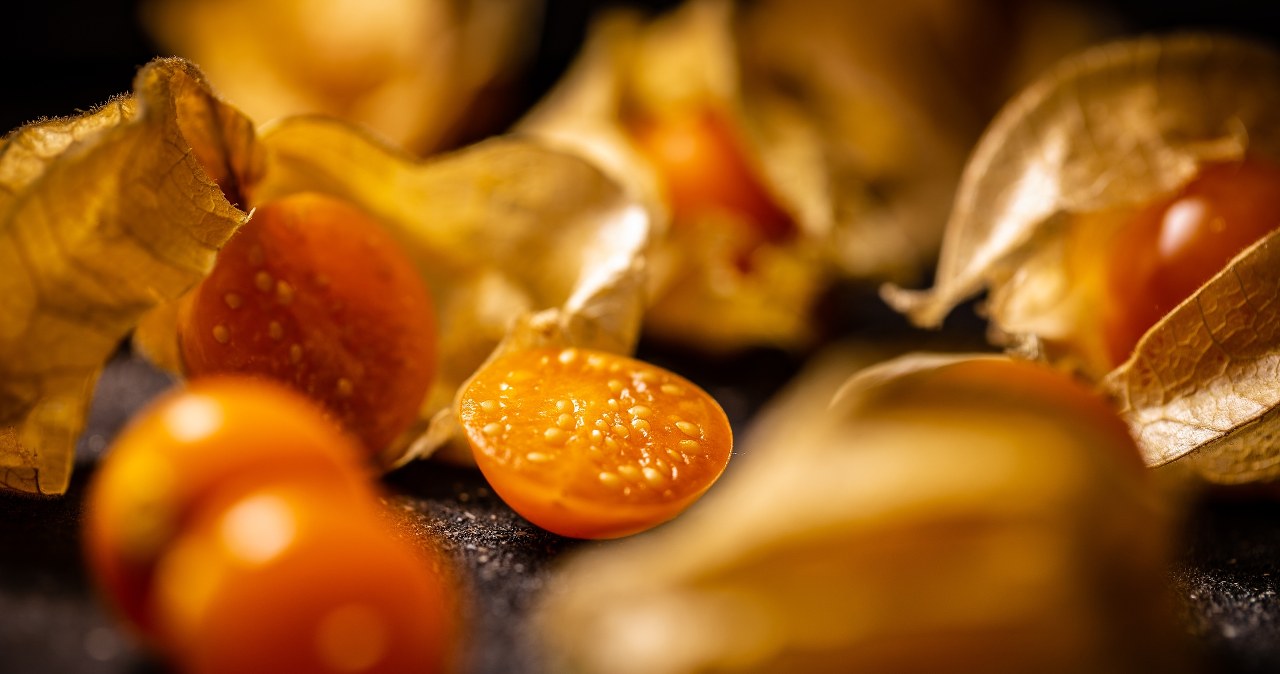 Na szczególną uwagę w miechunce zasługują witanolidy i fyzaliny, czyli związki o silnym działaniu przeciwzapalnym i przeciwutleniającym. /123RF/PICSEL