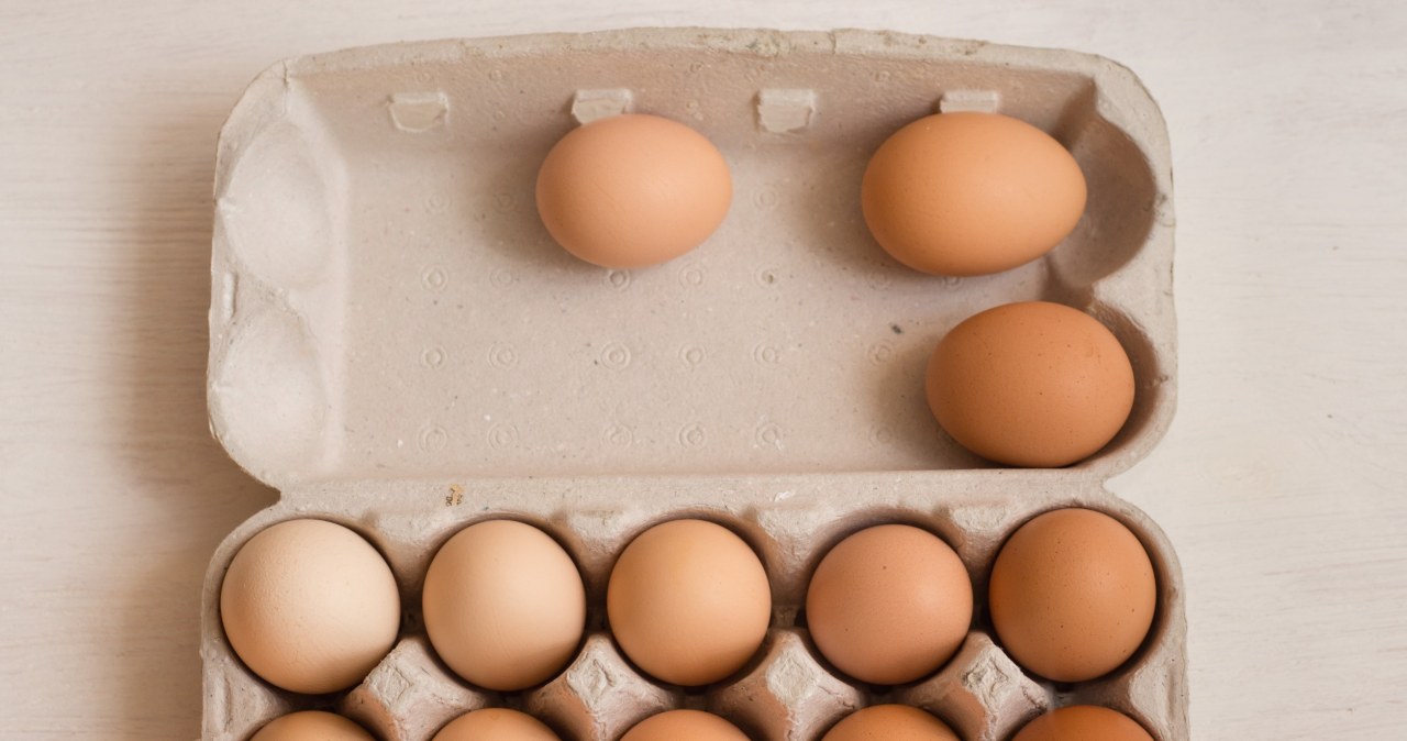 Egg cartons are perfect for planting tulip bulbs. /123RF/PICSEL