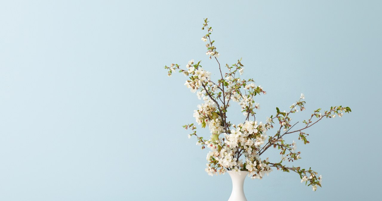 Long, narrow vases are difficult to clean. Fortunately, rice comes to our rescue. /Pixel