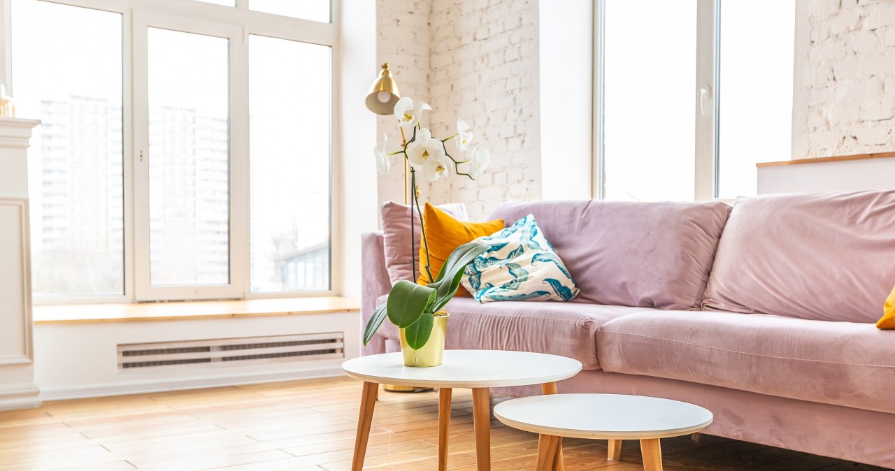 A sofa in a shade of powder pink can look stylish for many years /Pixel