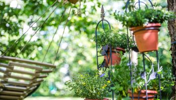 Flowerpot and lighting in one. This will be a garden hit of spring
