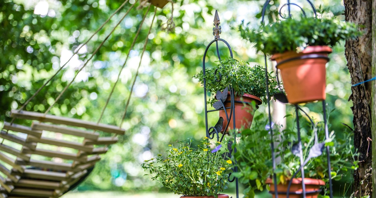 Flowerpot and lighting in one. This will be a garden hit of spring