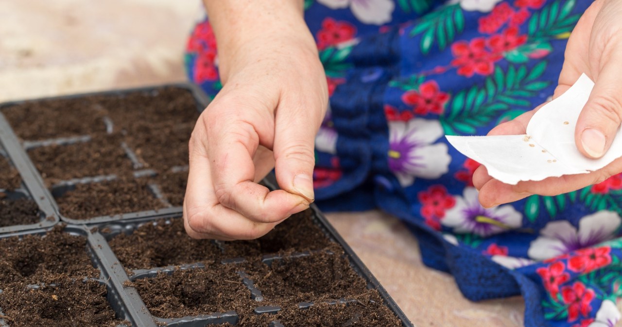 Grandma does this with seeds before sowing. His crops are as healthy as anyone else's