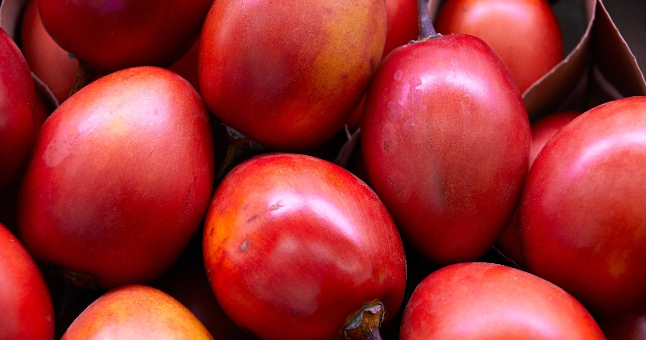 It is a treasure trove of health, but Poles do not know it. A fruit that prolongs life