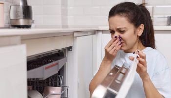 Is there a bad smell coming from the dishwasher? Put this in it and run the program