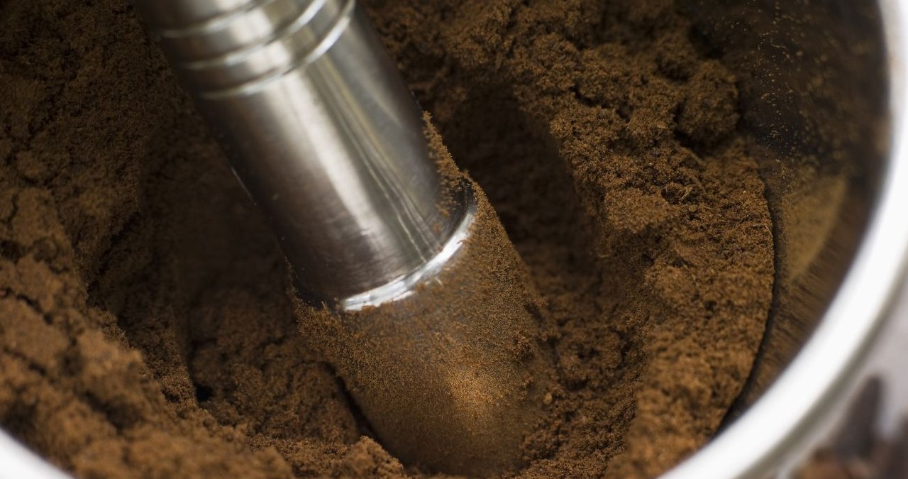 Not everyone likes their smell, but they work like a mini pharmacy. They protect the liver, intestines and even relieve pain