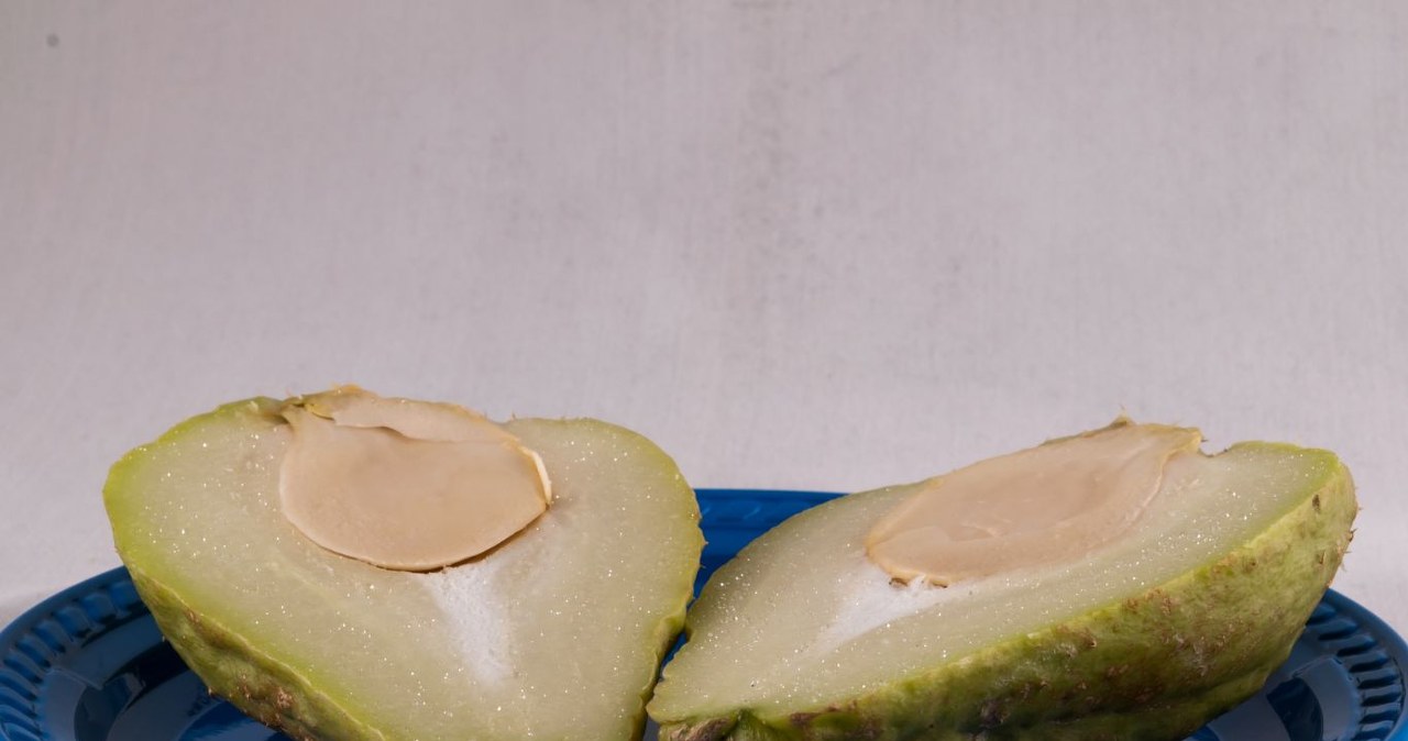 It resembles a pear, but has little in common with it. It keeps you full for a long time and helps with circulation and kidney problems