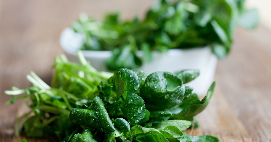 It is the healthiest vegetable in the world. In Poland, almost no one eats it