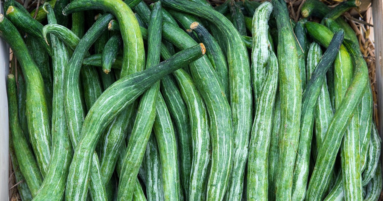 It has thin skin and no seeds, but we rarely eat it. Perfectly hydrates and cleanses the body of toxins