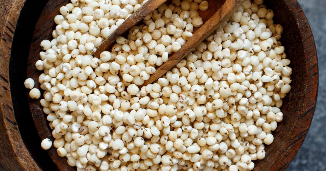 One of the most important cereals in the world. There is no gluten, good for diabetics and those caring for their heart