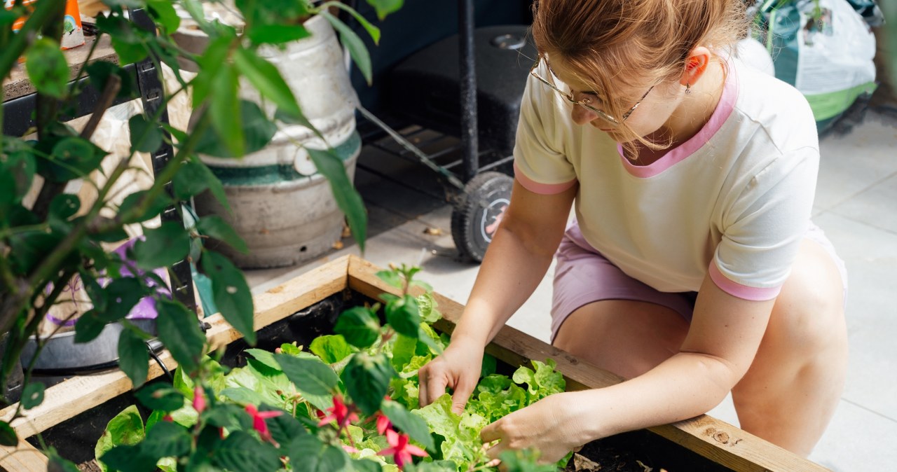 I have been growing vegetables this way for years. I have more crops than others