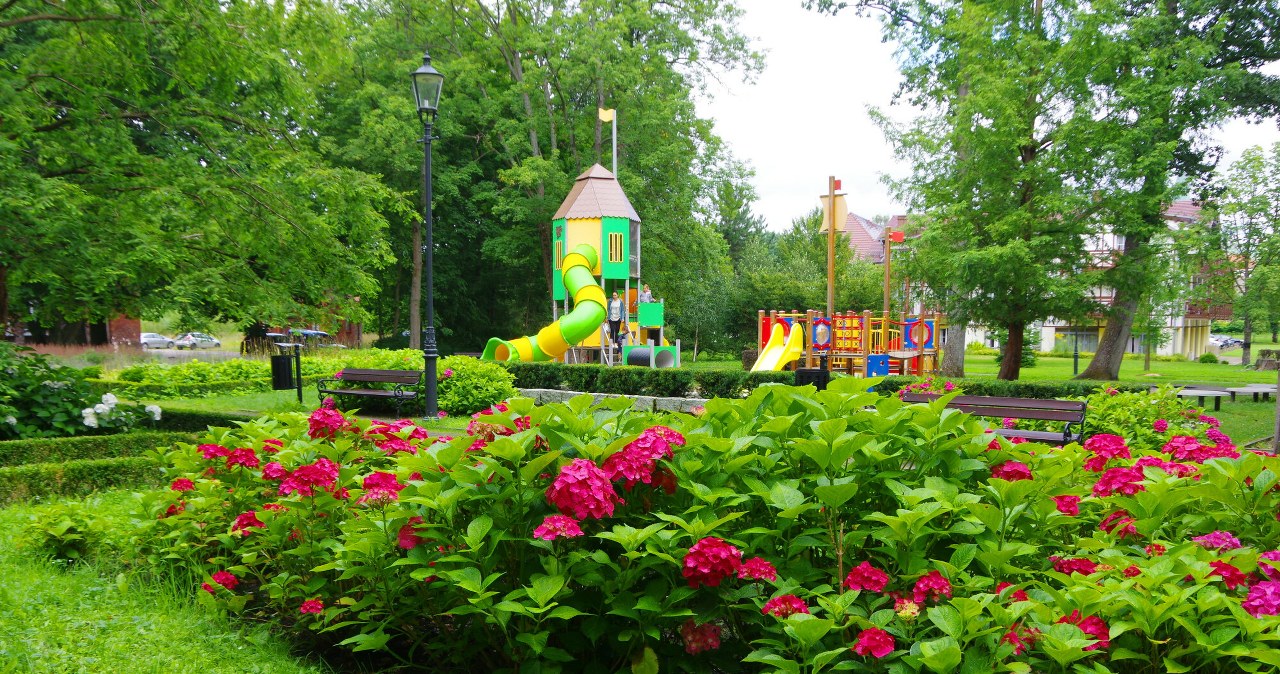 If you prune it too early, you won't see the flowers. This mistake will destroy your garden