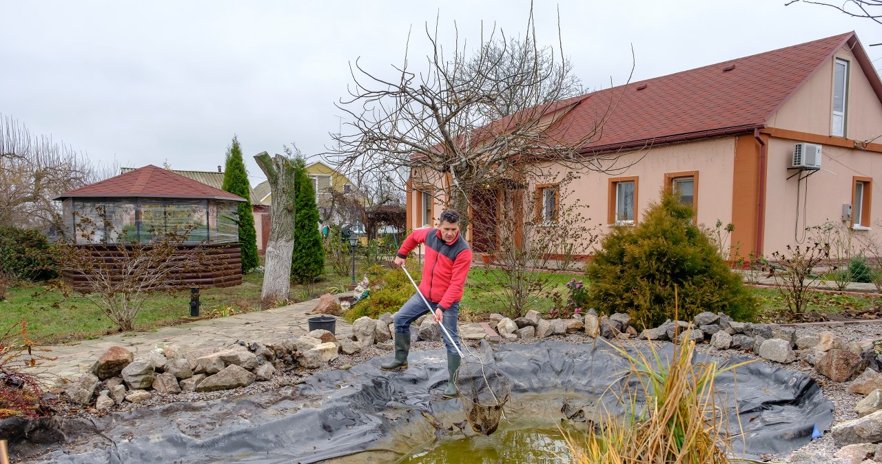 Do this with your pond after winter. It will be the pearl of the entire area