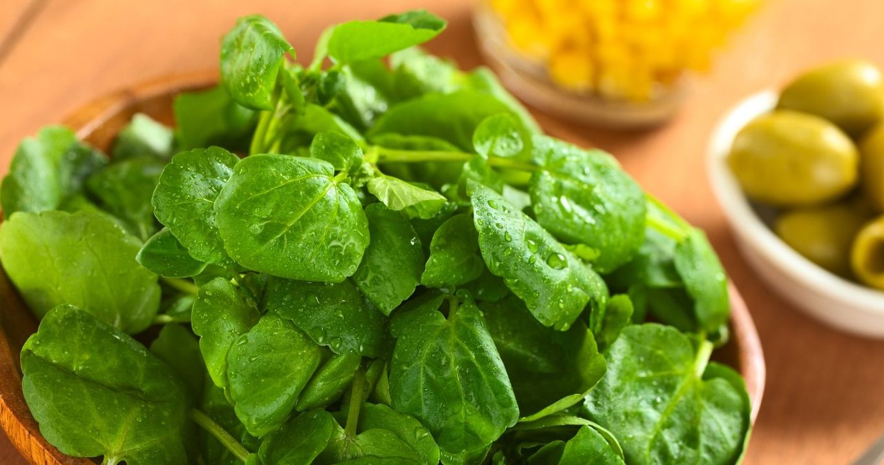 The healthiest and most underestimated vegetable. Diabetics and seniors should make sandwiches and salads with it