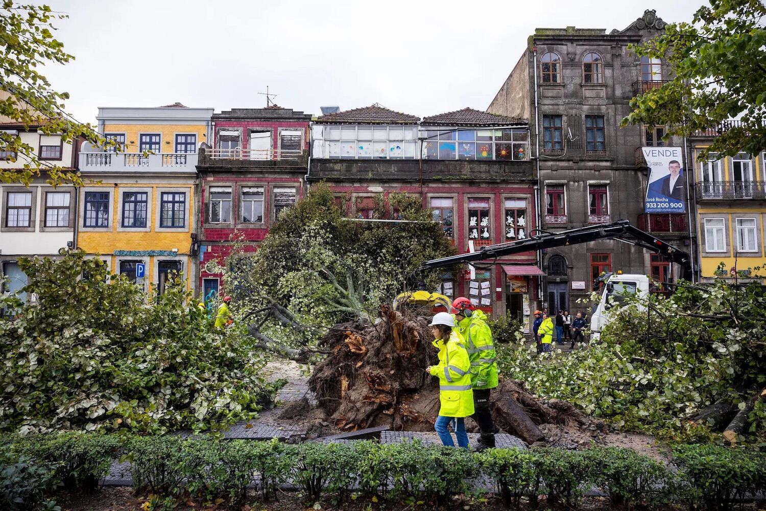 “Wait for certainty.” Why do disasters happen despite early warnings?