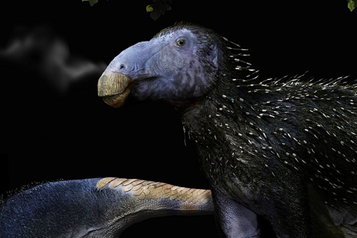 125 million year old “porcupine” dinosaur discovered